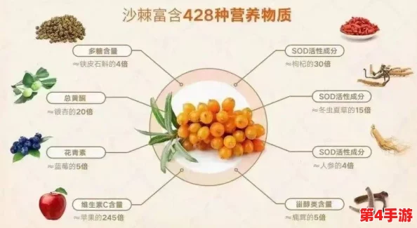 火枣种子：营养丰富，助力健康生活的天然选择与独特价值分析