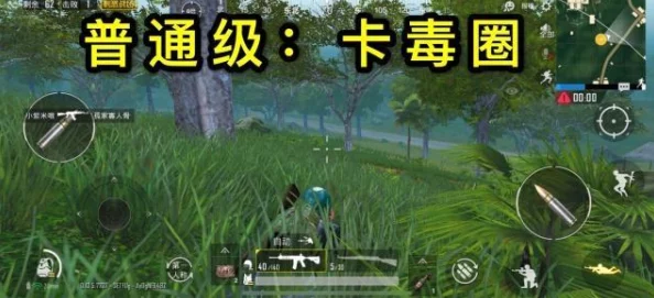 嫩叶草转换路线：从菜鸟到大神，开启你的草系进化之旅！