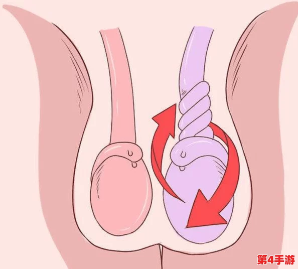 女孩看到男孩子的睾丸怎么办？如何处理这种尴尬情况才能避免尴尬？
