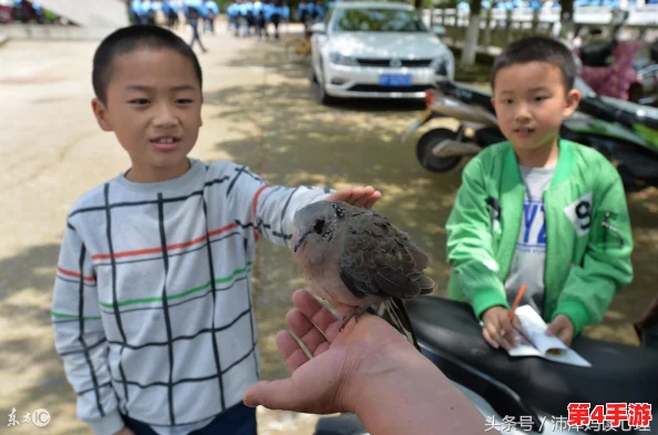 生猴子的全过程不盖被子：动物本能与自然界的奇妙联系