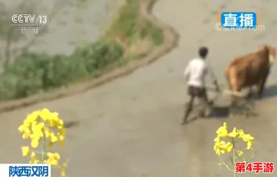 多人添荫蒂弄花蒂，感受自然之美与人文情怀的交融与碰撞