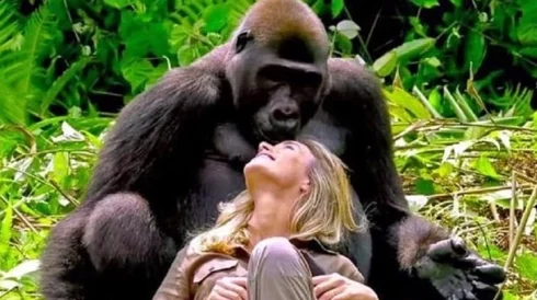 欧美人与禽猛交狂配:一种不可思议的文化现象和道德挑战 欧美人与禽猛交狂配:一种不可思议的文化现象和道德挑战