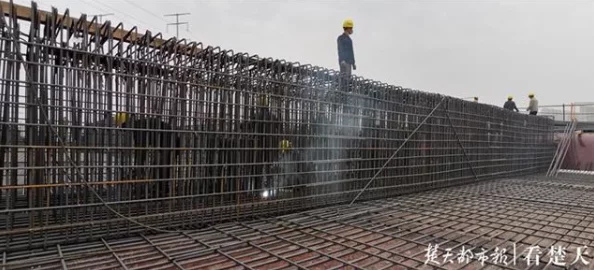 钢钢钢钢钢 钠筋多水免费 见解 钢钢钢钢钢 钠筋多水免费 见解