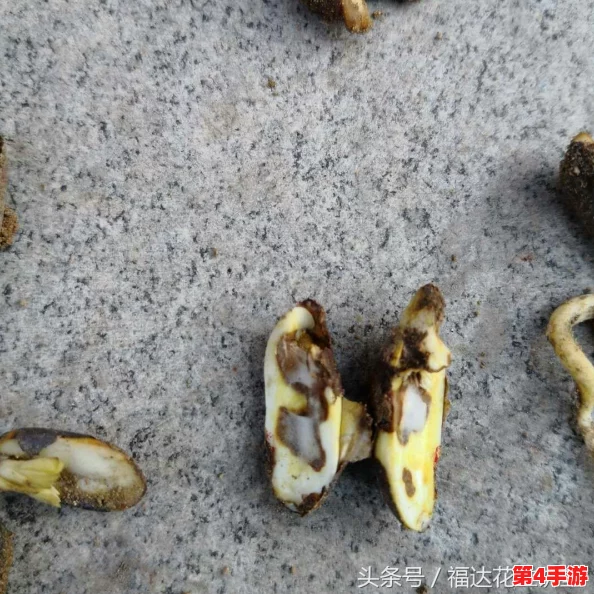 爽 好多水 快 深点软件:如何选择适合自己的深度学习软件? 爽 好多水 快 深点软件:如何选择适合自己的深度学习软件?