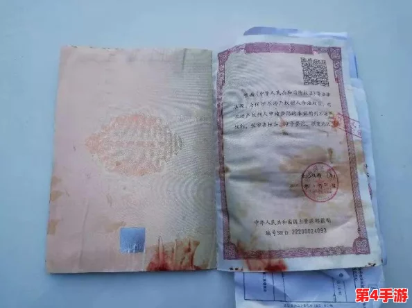 我丰满的岳 3的电影及其深刻情感表现背后的故事 我丰满的岳 3的电影及其深刻情感表现背后的故事