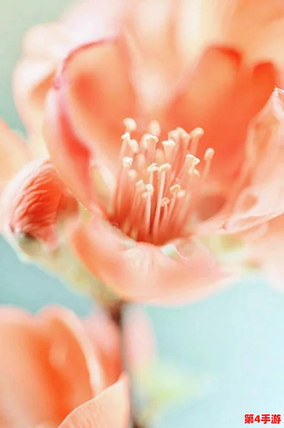 动漫人物被c,展现了角色深层次的情感冲突与成长历程,令人深思的作品分析与评论合集 动漫人物被c,展现了角色深层次的情感冲突与成长历程,令人深思的作品分析与评论合集