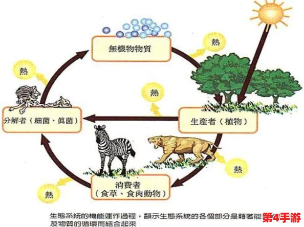 探索猴类快速恢复体力的奥秘:自然适应性与高效生理机制的全面剖析 探索猴类快速恢复体力的奥秘:自然适应性与高效生理机制的全面剖析