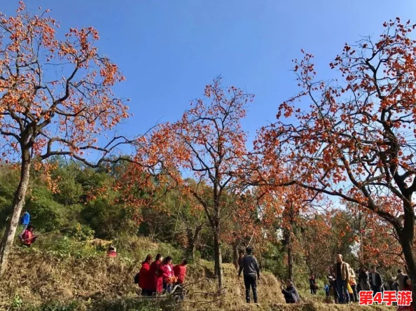 全面掌握菇霸模式：解锁独特玩法策略，成就游戏霸主之路的详尽指南