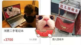 我爱搞笑52G.abb_u3m4:在这个充满幽默与欢乐的世界里,尽情享受每一个搞笑瞬间,带给你无尽的欢笑和快乐 我爱搞笑52G.abb_u3m4:在这个充满幽默与欢乐的世界里,尽情享受每一个搞笑瞬间,带给你无尽的欢笑和快乐