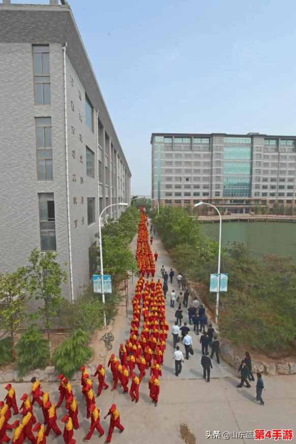 探索海贼世界，预约《航海王：壮志启航》官方唯一通道，共赴冒险之旅的最佳起点！