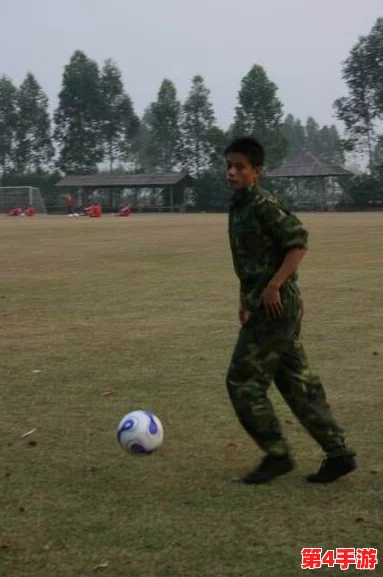 雷电将军腿法娴熟脚法技巧：全面解析与深度见解