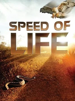 探索未来轨迹：揭秘特殊人物相遇的非凡条件与生命转折瞬间