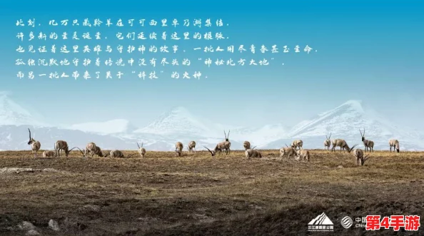 日产无人区一线二线三线2023:网友热议,期待更多创新与突破,未来出行将如何改变我们的生活? 日产无人区一线二线三线2023:网友热议,期待更多创新与突破,未来出行将如何改变我们的生活?