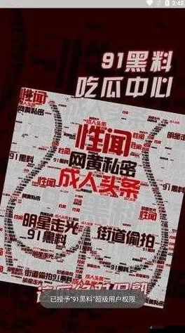 深入考察神秘事件：91黑料背后的真相与争议揭秘