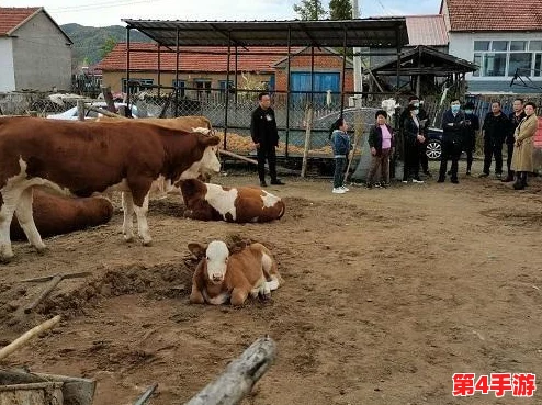 aby9映射画官方网站最新消息：了解最新动态与更新，掌握更多关于aby9映射画的精彩内容和活动信息