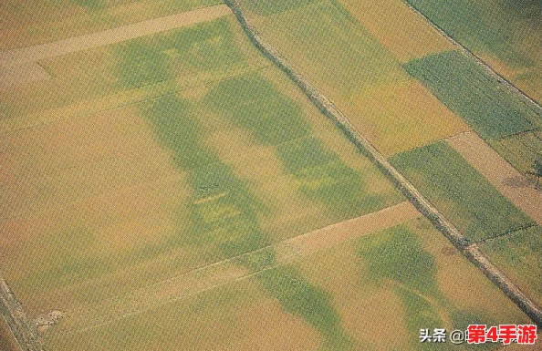 遗迹2作物样本终极指南：全面解析用途与丰厚奖励获取策略