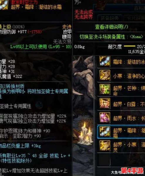 DNF忍者职业装备选择深度探讨：为何轻甲成为众多忍者的首选搭配？