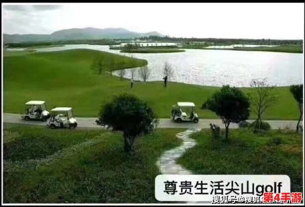 麻花传沈娜娜：用户评价揭示其独特魅力与深刻内涵，值得一看！