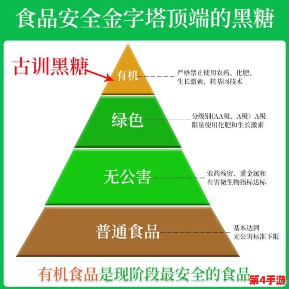 理解hl10cool黑料正能量背后的深意与影响，探讨其对社会的积极作用与启示
