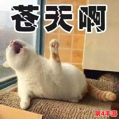 麻麻太深，拔出来痛太舒服，这种感觉让我既想逃避又无法自拔的复杂心情