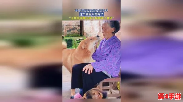 老太奶性战HD：用户评价称其剧情引人入胜，画面精美，带来全新游戏体验！