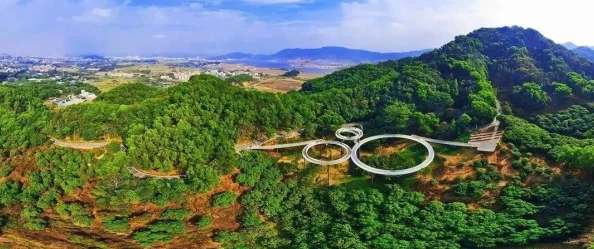 按尺寸坐公交车小镇20路：如何在城市交通中找到最适合自己的出行方式与体验