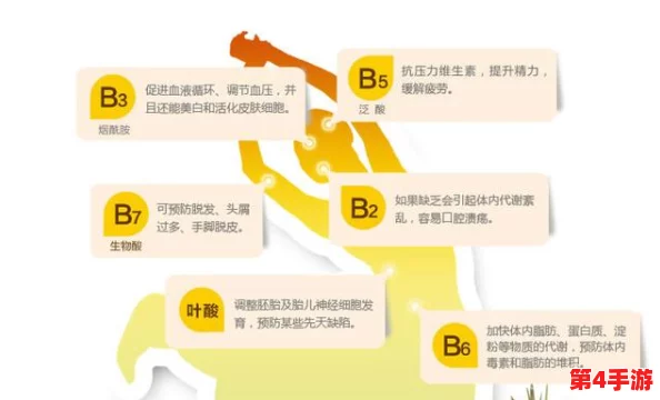 B大与小与其他年龄段对比：深入理解不同年龄阶段的特点和差异