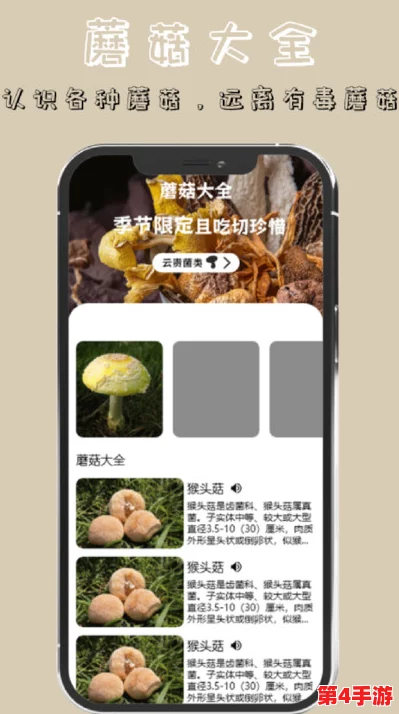 蘑菇moguspace最新版本更新内容-锦上添花，更胜一筹