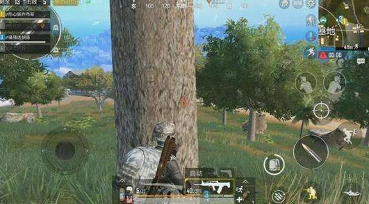 绝地求生：探索最佳版本，哪款才是你的生存之战首选？