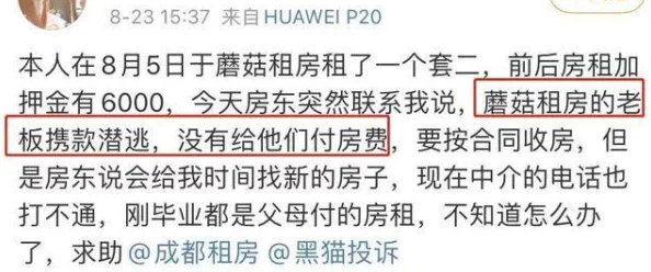 小雯和康健在深圳的租房活动:市场需求激增,年轻人面临更高租金压力 小雯和康健在深圳的租房活动:市场需求激增,年轻人面临更高租金压力