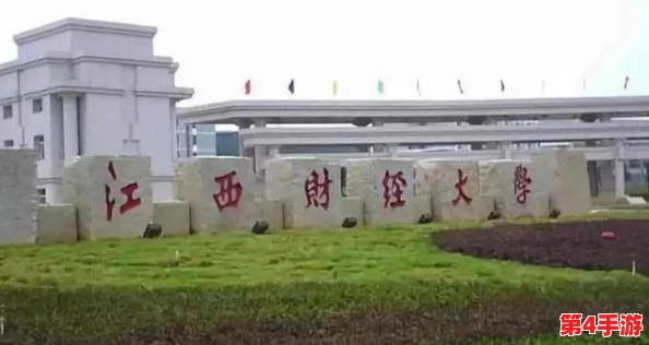 将军hlH：用户评价揭示了这款产品的优缺点，值得一试的选择与使用体验分享