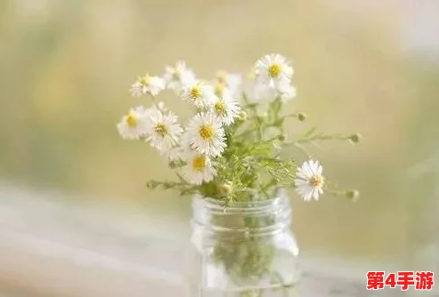 八尺夫人满天星最经典的一句：温柔浪漫的诗意情怀在心中绽放，感动每一个瞬间