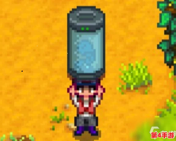 《星露谷物语》探索：揭秘奇怪胶囊的神奇用途与使用方法指南