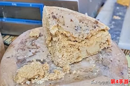 两人 一人吃10分钟:理解饮食习惯对健康的影响与时间管理的重要性 两人 一人吃10分钟:理解饮食习惯对健康的影响与时间管理的重要性