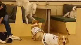 迈开腿打扑克汉疼又叫，用户评价：这款游戏真是太有趣了，让人欲罢不能！