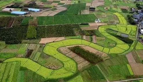 《我的世界》中引导村民自主规划与扩建繁荣村庄的实用策略指南