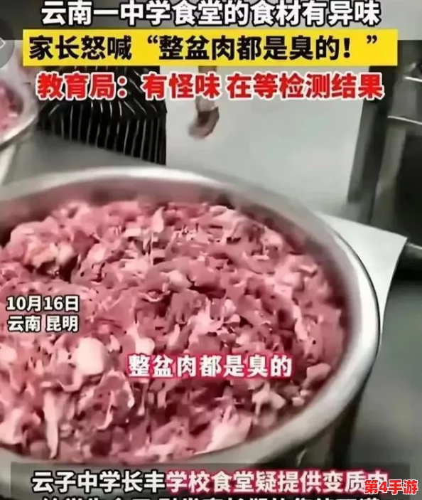 2024年勇士食堂独家福利放送：最新兑换码大揭秘，限时领取专属游戏好礼！