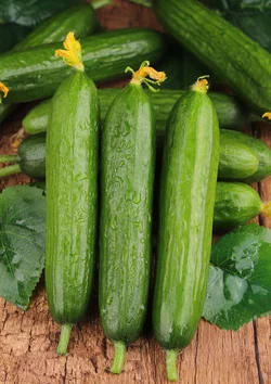 草莓樱桃丝瓜秋葵榴莲黄瓜大全：多样水果与蔬菜的营养价值及其在饮食中的重要性分析