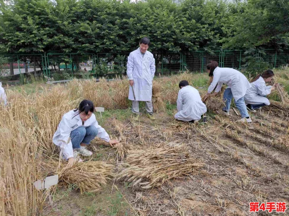 《文明6》中最佳农耕策略：探索最适合种田的领袖与地图设定