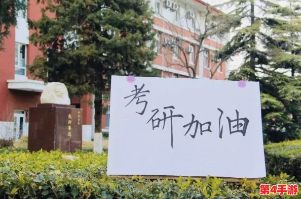 美国Zoom动物猪：在远程会议中，如何通过可爱的动物形象缓解压力并提升工作氛围？