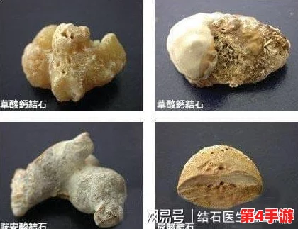 51cg热门大瓜今日吃瓜赵子涵：深度解析事件背后的真相与影响
