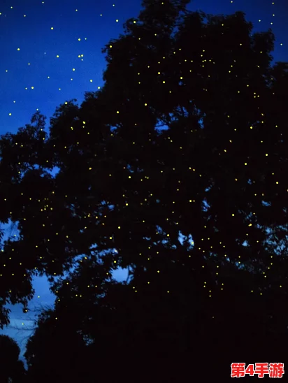 梁佳芯 星空：在璀璨星空下，感受她的音乐与情感交织之美