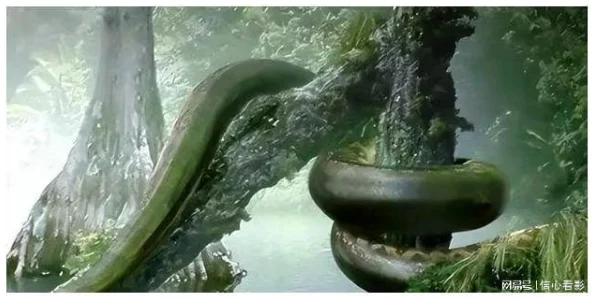 蛇王的尾巴高ah：神秘生物现身，引发科学家们的热议与研究新方向