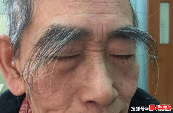 性BwBwBwBw毛多多:新研究揭示其对生态系统的重要影响与保护措施的必要性 性BwBwBwBw毛多多:新研究揭示其对生态系统的重要影响与保护措施的必要性