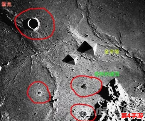 稀有近距离侧拍：科学家首次捕捉到神秘生物的真实生活瞬间，引发广泛关注与讨论
