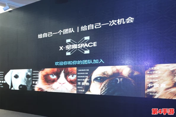 我爱搞52：一场关于创意与激情的盛会，汇聚了无数年轻人的梦想与才华
