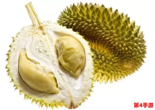 榴莲视频18：新一季上线，带你领略独特的亚洲美食与文化魅力！