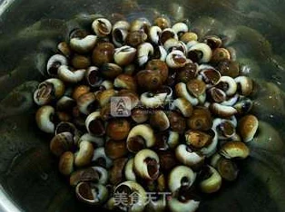 星球重启：探索香螺美味食谱，揭秘稀有食材藏匿之地与采集技巧