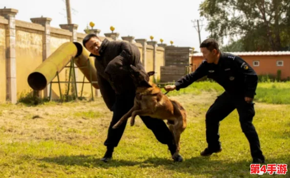 张警犬9分10秒头撞玻璃网盘，勇敢犬警携手共度冒险时光，感受忠诚与勇气的故事