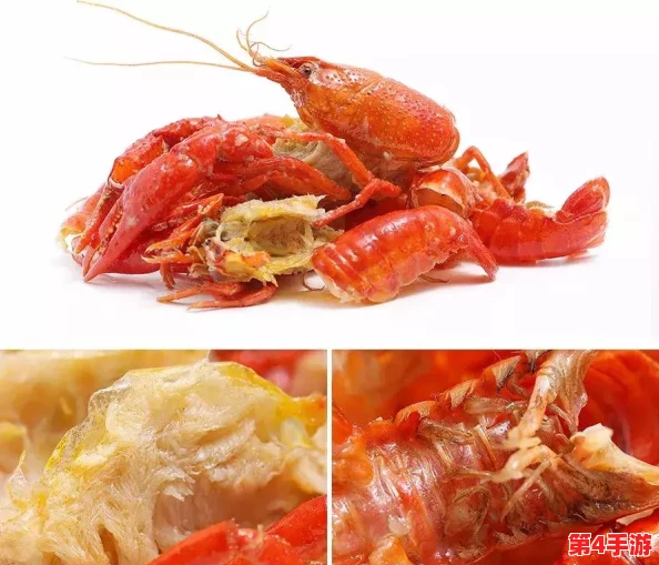 怎么给自己扣：网友热议各种创意与技巧，分享增添乐趣的独特方式！